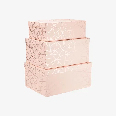 The Range Set of 3 Rose Pink Geometric Storage Boxes