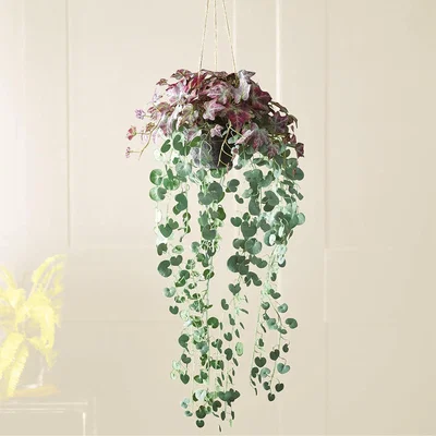 The Range Artificial Hanging Basket with Purple Tongue and String of Heart Houseplants - Green