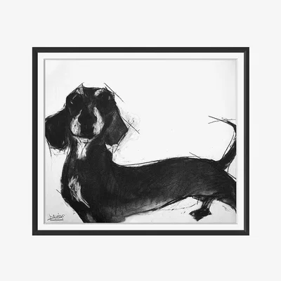 Amara Trowbridge Gallery - Valerie Davide Dogs - Sausage Dog - 48x58cm