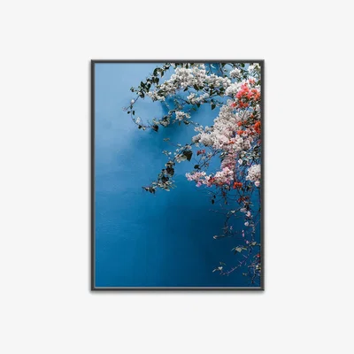 Amara David & David Studio - Bougainvillea Print - 50x70cm - No.1 Print