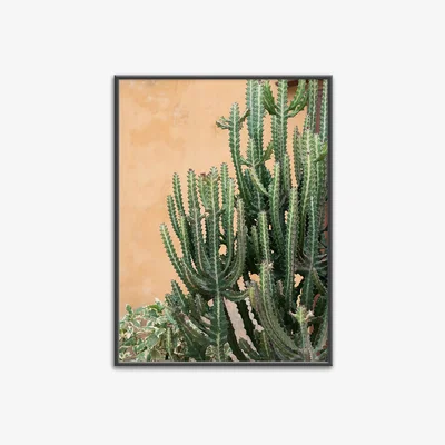 Amara David & David Studio - Colours of Senegal Print - 50x70cm - No.2 Print