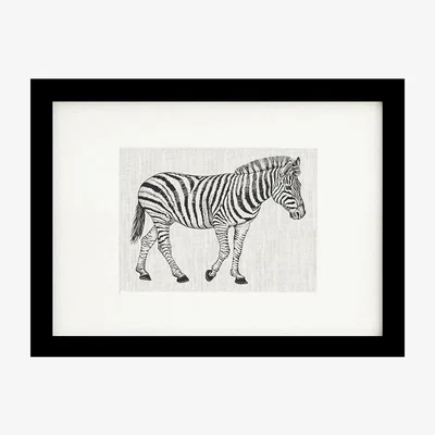 Amara Lo De Manuela - Animal Screen Print - 50x70cm - Zebra