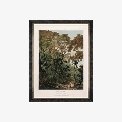 Amara MINDTHEGAP - Trees Of Krakatoa Framed Print - The Fan Palm