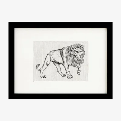 Amara Lo De Manuela - Animal Screen Print - 50x70cm - Lion