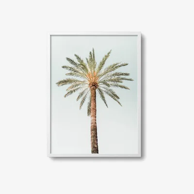 Amara David & David Studio - Palmier Solitaire Print - 50x70cm