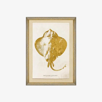 Amara MINDTHEGAP - Caribbean Sea Life Foiled Print - 50x70cm - Myliobatoidei