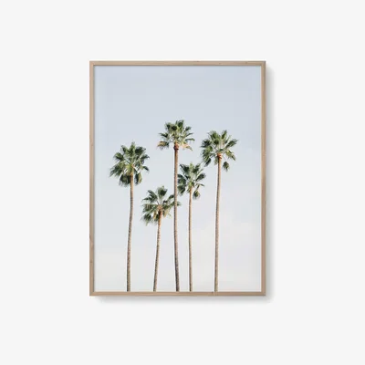 Amara David & David Studio - Regal Palm Trees Print - 50x70cm