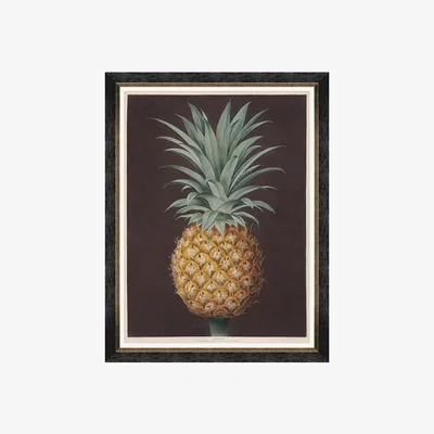 Amara MINDTHEGAP - Pineapples of Antigua Framed Print - 60x80cm - The Havannah Pine