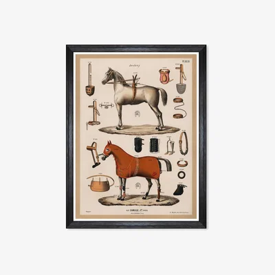Amara The Riding Equipment Print - 60x80cm