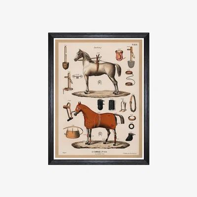 Amara MINDTHEGAP - The Riding Equipment Print - 60x80cm - I