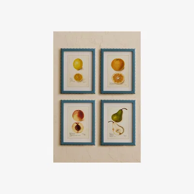 Anthropologie Framed Fruit Art Prints, Set of 4