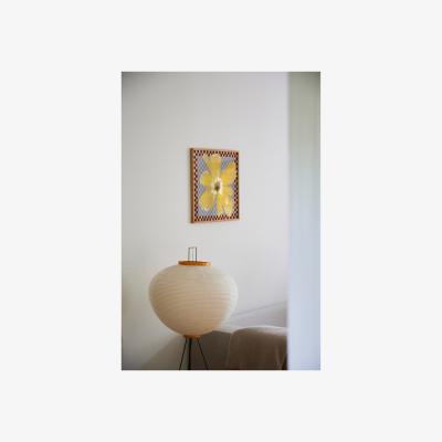 Anthropologie Flower with Checks 03 by Liat Greenberg Framed Wall Art