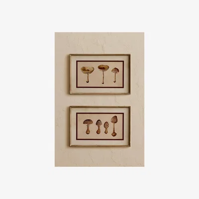 Anthropologie Framed Mushroom Art Print, Set of 2