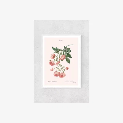 Anthropologie Rosier Wall Art
