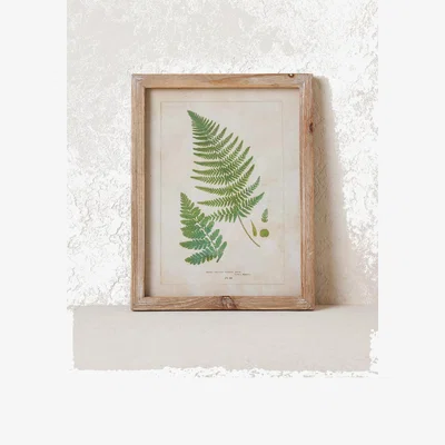 Anthropologie Fern Wall Art