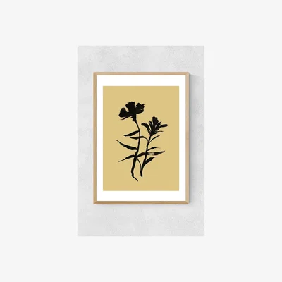 Anthropologie Dan Hobday Mono Botanical 3 Wall Art Print