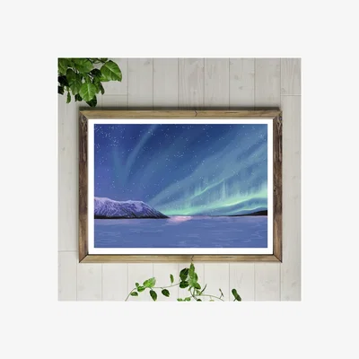 Arighi Bianchi Winter Aurora Print