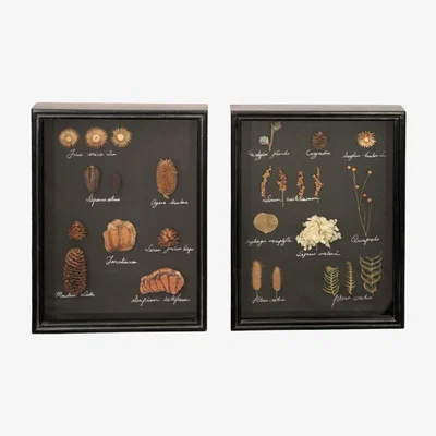 Barker and Stonehouse Pair of Framed Dried Foliage Wall Art