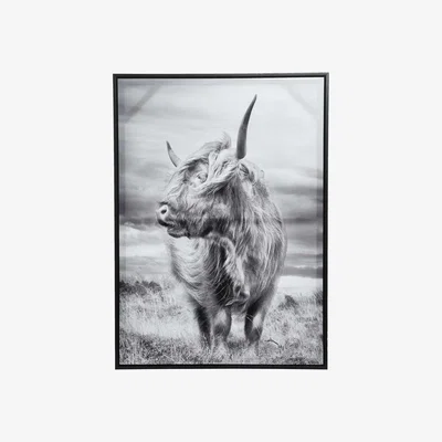 Barker and Stonehouse Black & White Ox Framed Canvas Print | Barker & Stonehouse