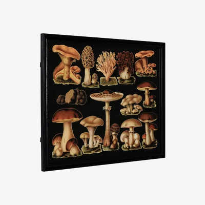 Barker and Stonehouse Timothy Oulton Mushroom Art Print Oak Wood | Barker & Stonehouse