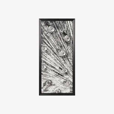 Barker and Stonehouse Timothy Oulton Animal Peacock Black & White Art Print Oak Wood | Barker & Stonehouse