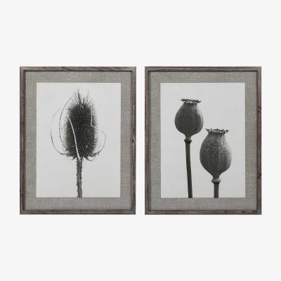 Barker and Stonehouse Set of 2 Poppy Prints Print, 776 | Barker & Stonehouse