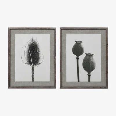 Barker and Stonehouse Set of 2 Poppy Prints