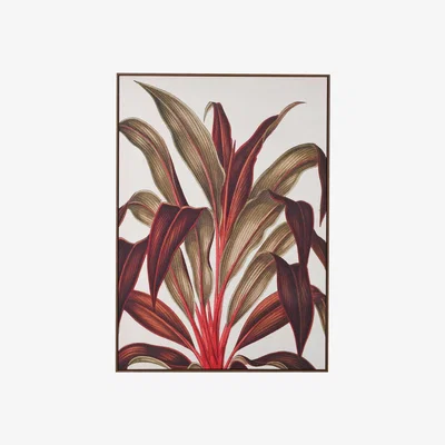 Barker and Stonehouse Plant Canvas Print, 776 | Barker & Stonehouse