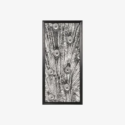 Barker and Stonehouse Timothy Oulton Animal Peacock Black & White Art Print Oak Wood | Barker & Stonehouse