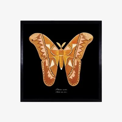 Barker and Stonehouse Timothy Oulton Entomology Flat Butterfly, Brown | Barker & Stonehouse