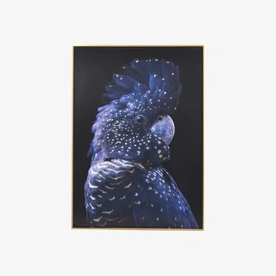 Barker and Stonehouse Blue Parrot Picture
