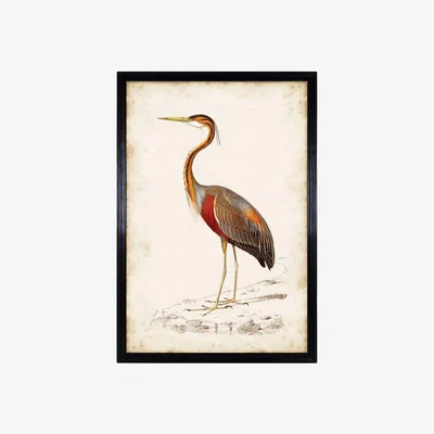 Barker and Stonehouse Timothy Oulton Animal Heron Art