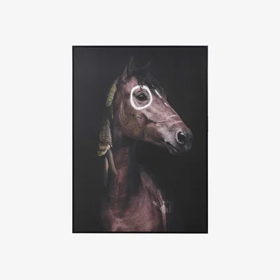 Barker and Stonehouse Horse Canvas Print, Square | Barker & Stonehouse
