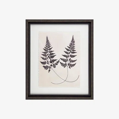 Barker and Stonehouse Vintage Fern Study 1 Picture Print, Green | Barker & Stonehouse