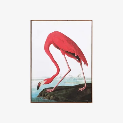 Barker and Stonehouse Large Pink Flamingo Picture Print | Barker & Stonehouse