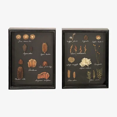 Barker and Stonehouse Pair of Framed Dried Foliage Wall Art, Black | Barker & Stonehouse