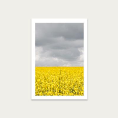 Bombinate.com Grey and Yellow Fields Art Print Unframed
