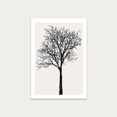 Bombinate.com Black Birch Art Print Unframed
