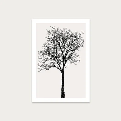 Bombinate.com Black Birch Art Print Unframed