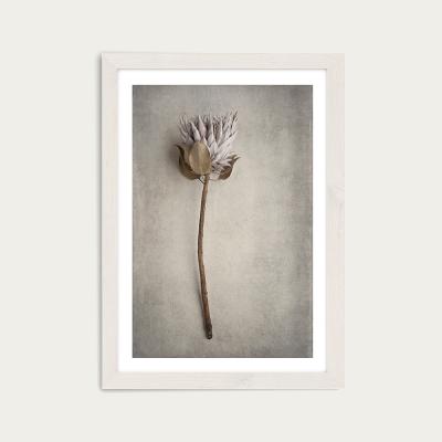 Bombinate.com Everlasting 2 Art Print White Frame