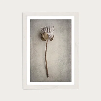 Bombinate.com Everlasting 2 Art Print White Frame