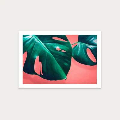 Bombinate.com Monstera No. 2 Art Print Unframed
