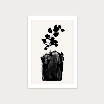 Bombinate.com Scabiosa Art Print Unframed