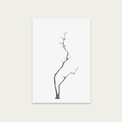 Bombinate.com Bonsai Tree 3 Art Print Unframed