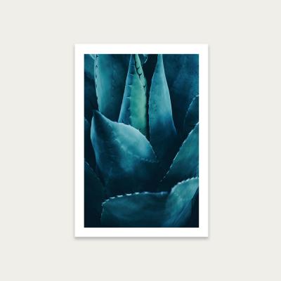 Bombinate.com Cactus No 4 Art Print Unframed