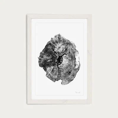 Bombinate.com Big Oak England Art Print White Frame