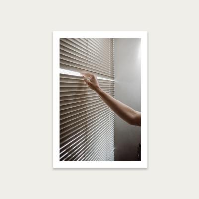 Bombinate.com Window Blinds Art Print Unframed