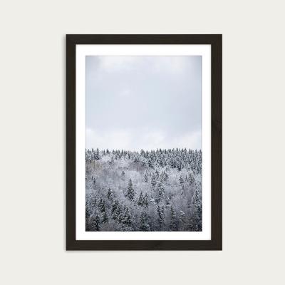Bombinate.com White Winter Forest Art Print Black Frame