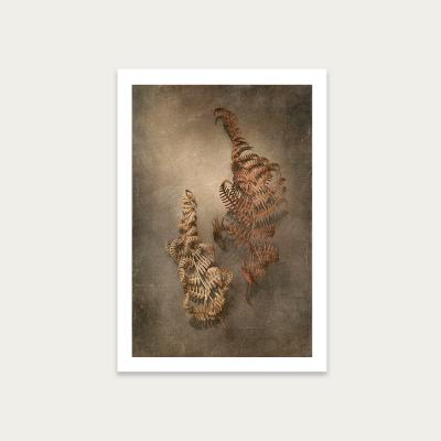Bombinate.com Earthy Ferns 4 Art Print Unframed