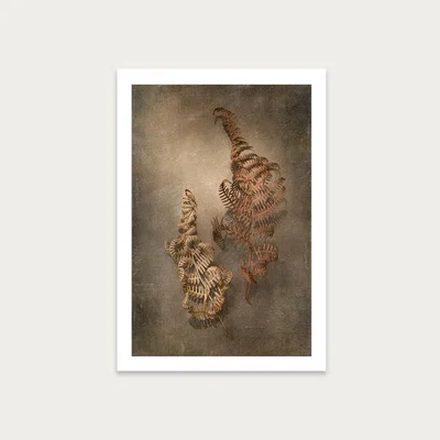 Bombinate.com Earthy Ferns 4 Art Print Unframed